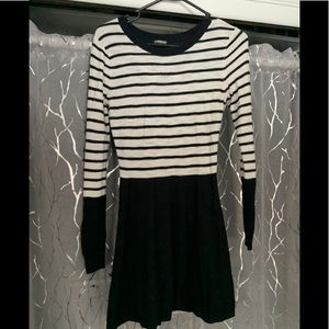 Express Sweater Dress